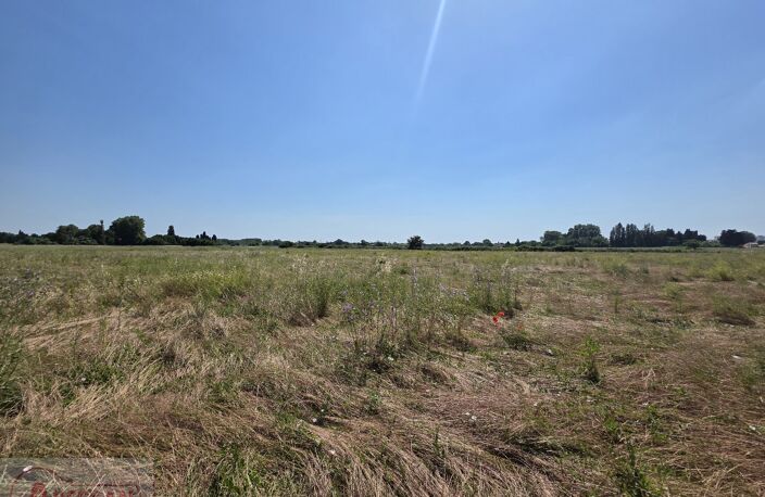 Terrain — photo 3