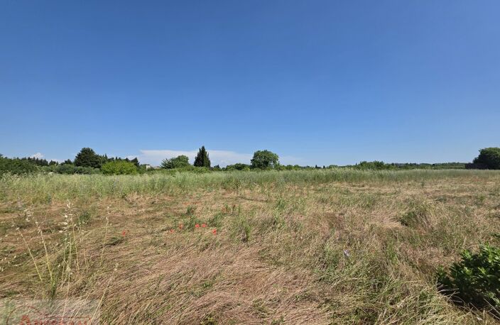 Terrain — photo 4