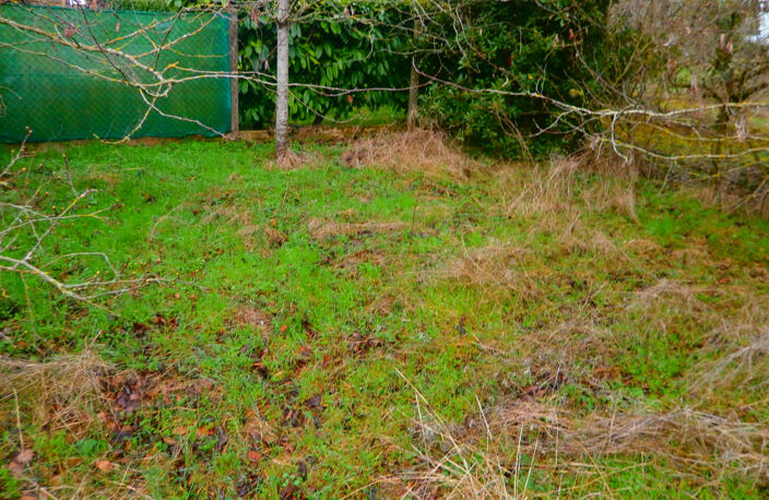 MURS LIBRE TOUT USAGE AVEC JARDINET — photo 4
