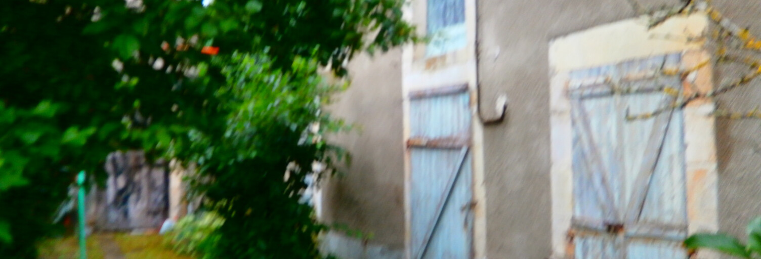 Commerce  55 m² à vendre à Les Bordes (36100)