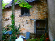 MURS LIBRE IDEALE POUR BUREAU OU MEUBLE — photo 3