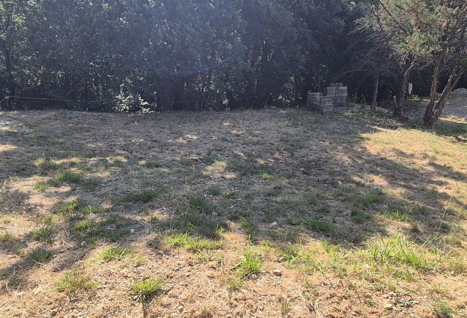 Terrain — photo 1