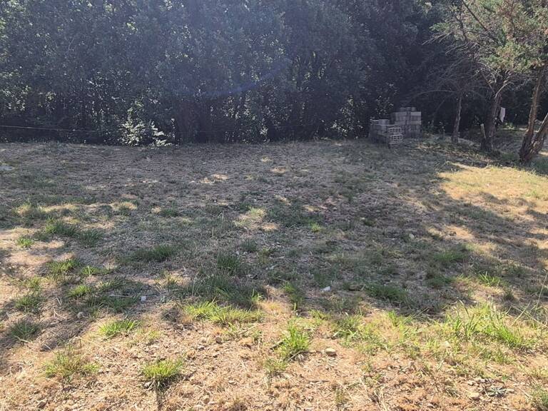 Terrain — photo 1