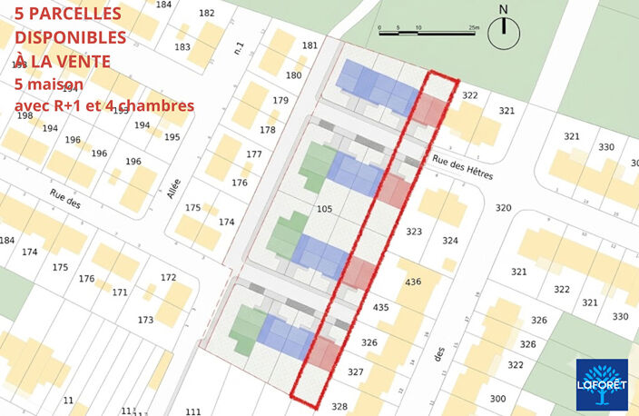 Maison neuve à vendre sur plan VEFA, 4 chambres — photo 3