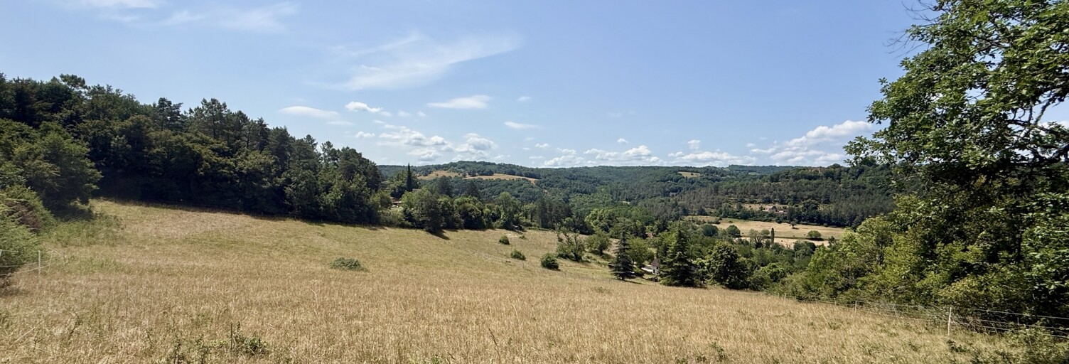 Terrain  10107 m² à vendre à Plazac (24580)
