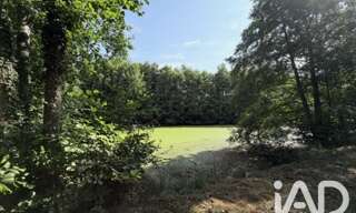 Terrain  7666 m² à vendre à La Belliole (89150)