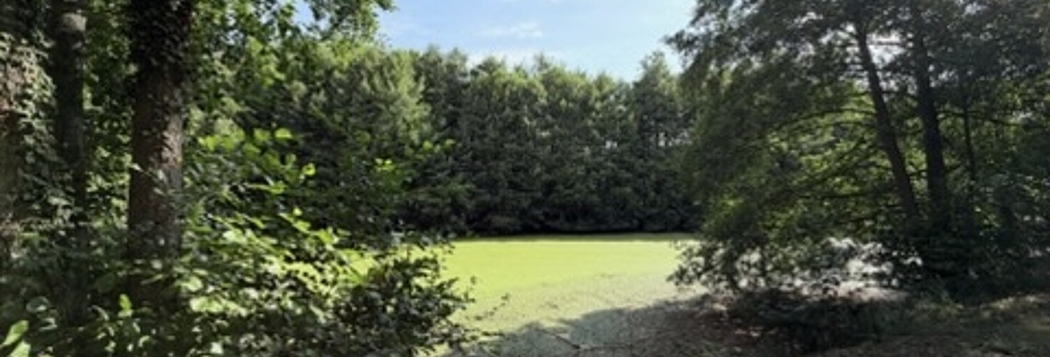 Terrain  7666 m² à vendre à La Belliole (89150)