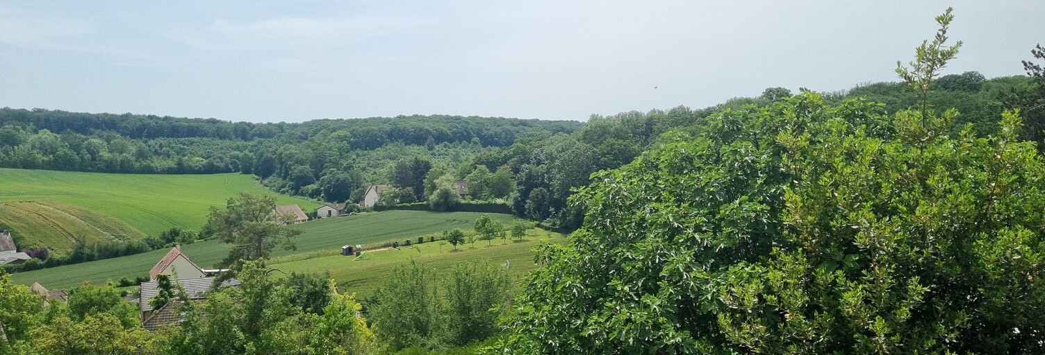 Photo N° 2