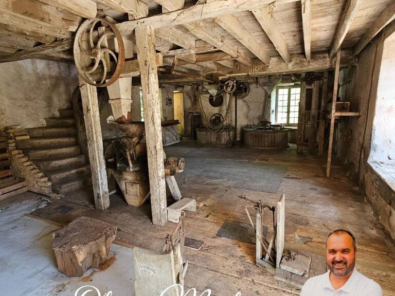 MOULIN XVIII° siècle  AVEC MAISON ET DÉPENDANCES SUR 5 HECTARES  À 25 MIN DU MANS — photo 1