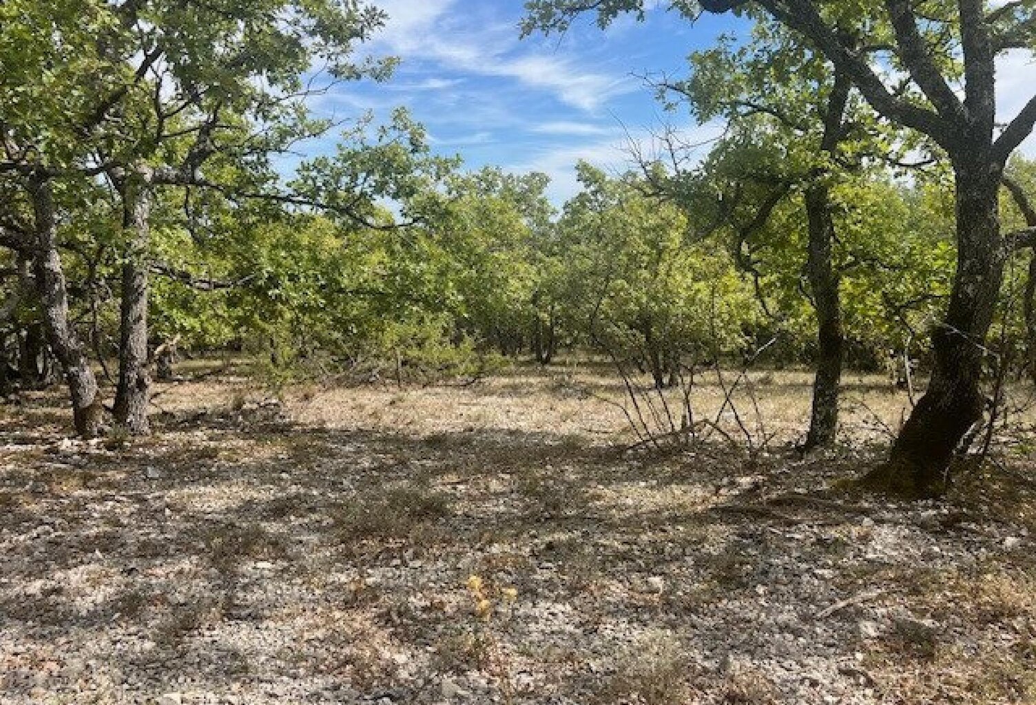 Rare à la vente, terrain de loisir de près de 6 hectares — photo 1