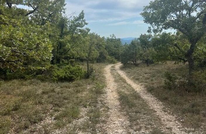 Rare à la vente, terrain de loisir de près de 6 hectares — photo 3