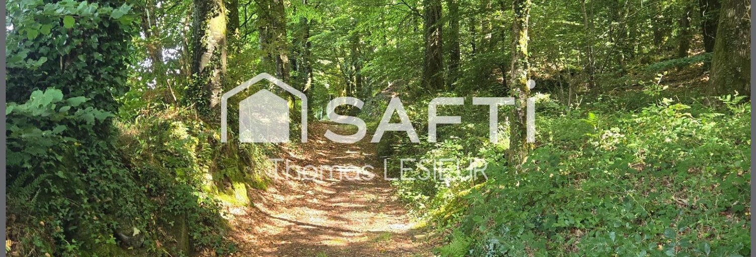 Terrain  13400 m² à vendre à Tinchebray-Bocage (61800)