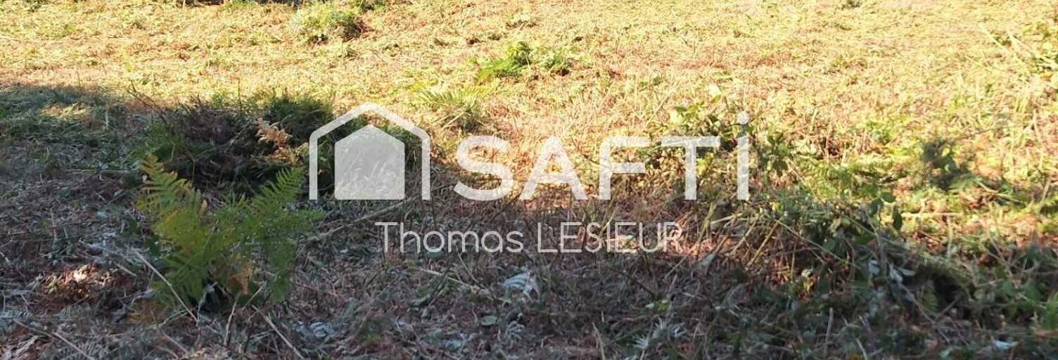 Terrain  13400 m² à vendre à Tinchebray-Bocage (61800)