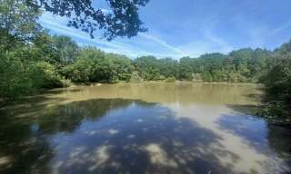 Terrain  20333 m² à vendre à Langon-sur-Cher (41320)