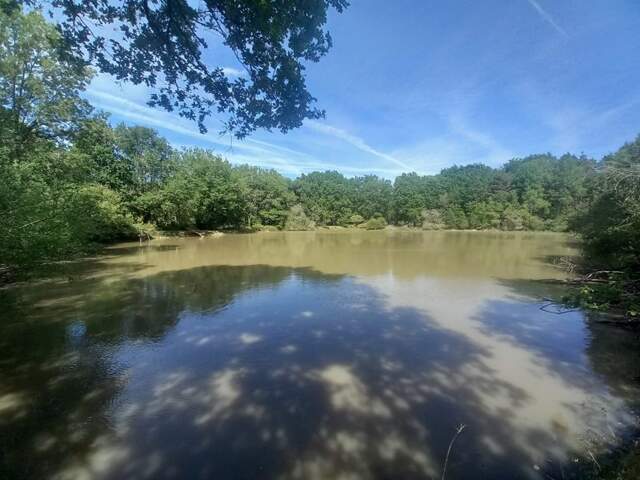 Etang de 0 pièces principales — photo du bien