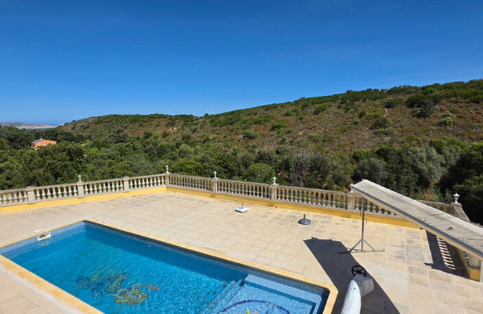 CALENZANA Maison à vendre 305 m² terrain de 5600 m² - Piscine - vue sur Calvi — photo 5