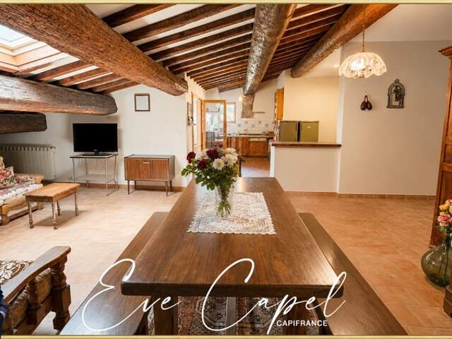 Maison à vendre 7 pièces VENDEMIAN (34), maison avec 5 chambres, 2 doubles garages, 1 studio et une annexe + jardin — photo du bien