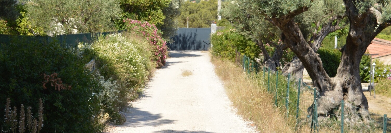 Photo N° 2