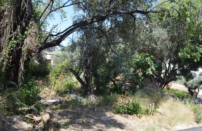 Toulon 4 chemin des routes / chemin de pelvoux Terrain constructible de 722 m2 zone UE emprise 20 % — photo 3