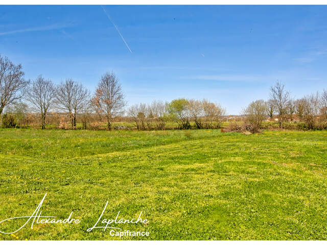 MONTAUBAN SAINT-HILAIRE grand terrain plat de 5575 m², possibilté de division — photo du bien
