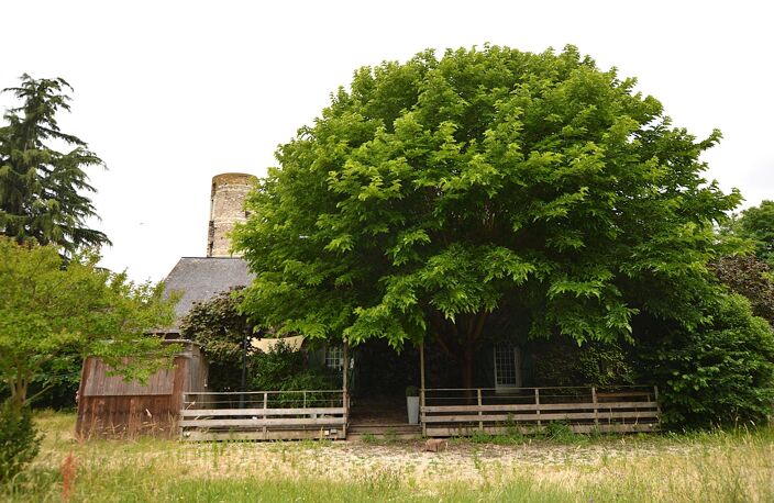 A vendre  belle Batisse a valoriser 7 pièces  Loire Layon Aubance (49) — photo 4