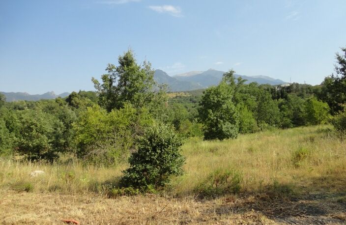 Dpt Pyrénées Orientales (66), à vendre PRADES Terrain constructible 375 m², 3 faces, libre constructeur — photo 5