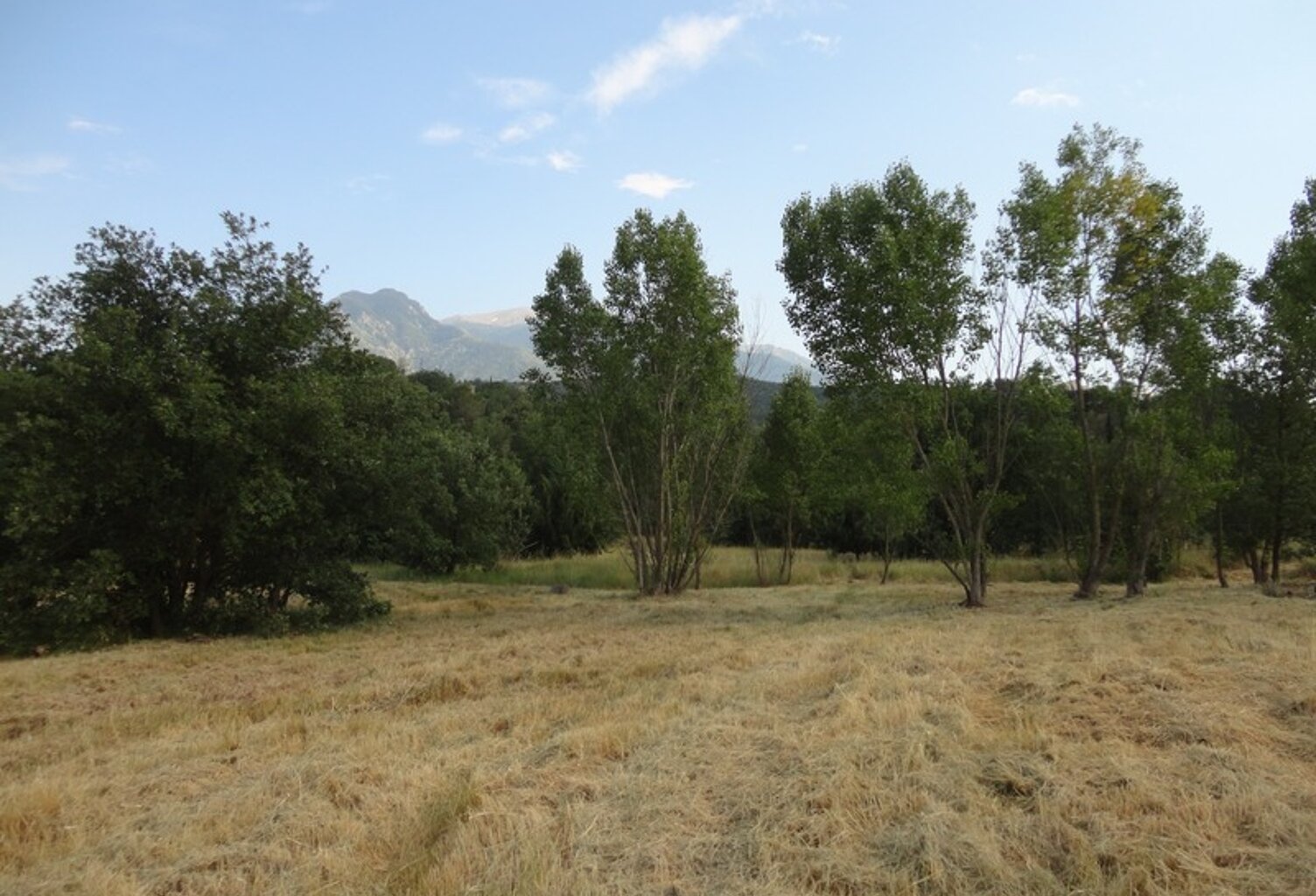 Dpt Pyrénées Orientales (66), à vendre PRADES Terrain constructible 210 m², 3 faces, libre constructeur — photo 1