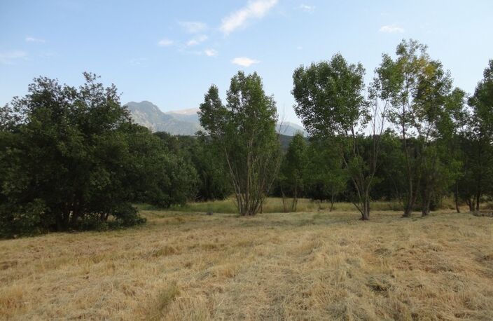 Dpt Pyrénées Orientales (66), à vendre PRADES Terrain constructible 374 m², 2 faces, libre constructeur — photo 4