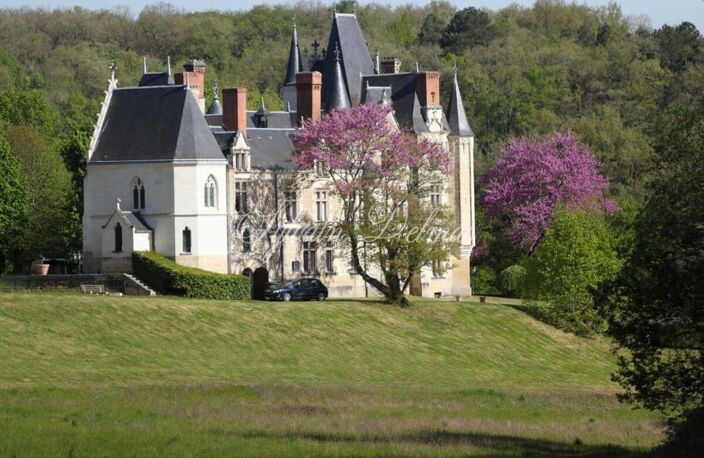 Propriete à vendre 50 pièces proche de TOURS (37) — photo 3