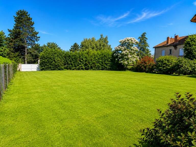 TERRAIN À BÂTIR 643 M² - SECTEUR RECHERCHÉ - SAINT-GEORGES-D'ESPÉRANCHE — photo 1