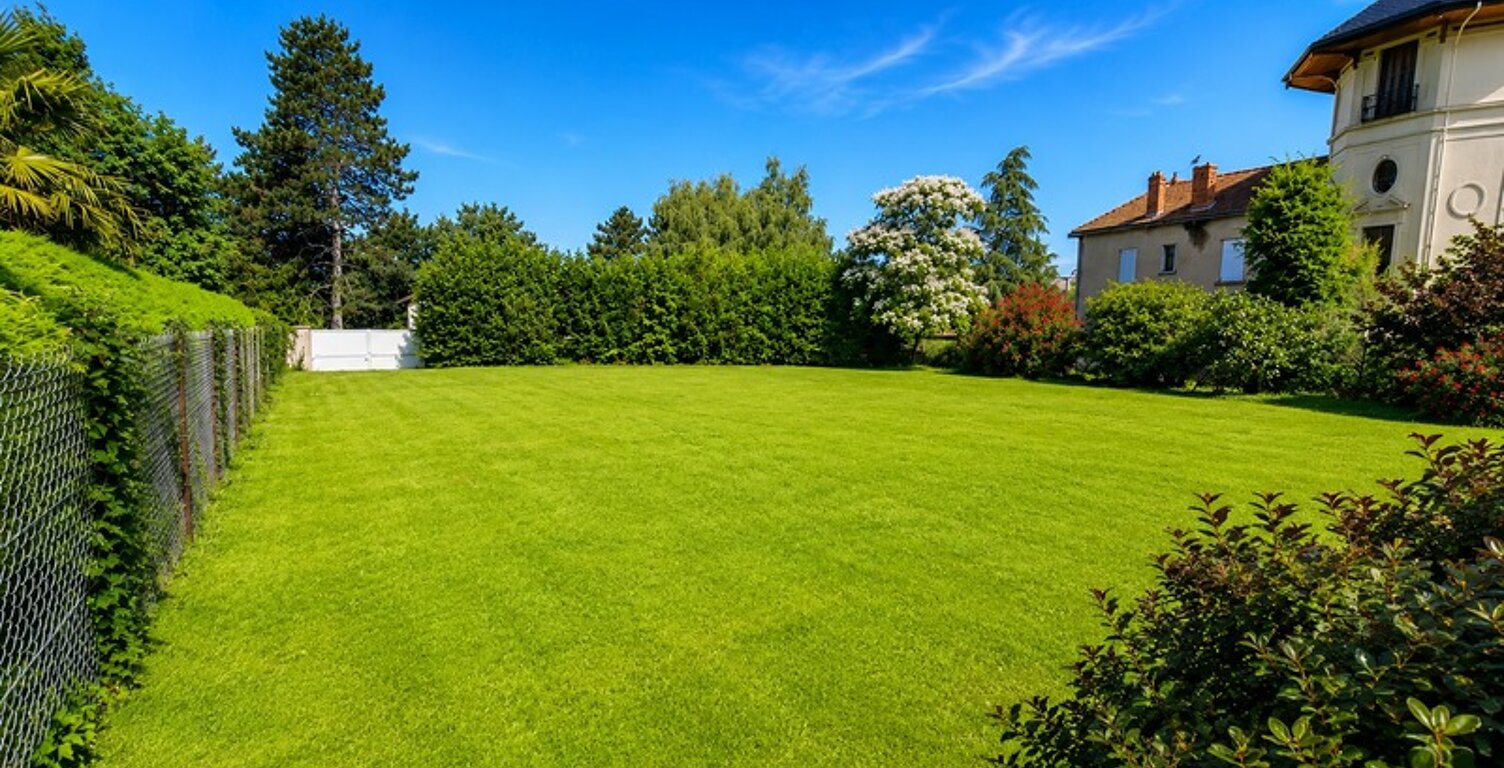 TERRAIN À BÂTIR 643 M² - SECTEUR RECHERCHÉ - SAINT-GEORGES-D'ESPÉRANCHE — photo 1