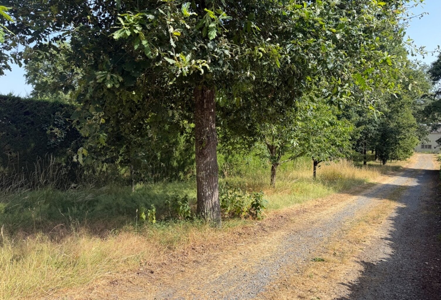 Dpt Maine et Loire (49), à vendre BAUGE terrain — photo 1