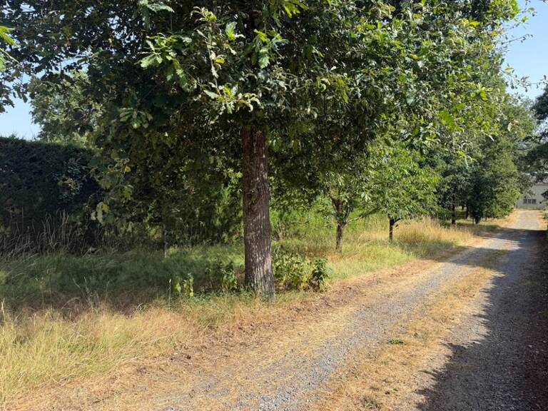 Dpt Maine et Loire (49), à vendre BAUGE terrain — photo 1