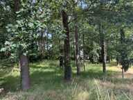 Dpt Maine et Loire (49), à vendre BAUGE terrain — photo 2