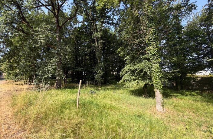 Dpt Maine et Loire (49), à vendre BAUGE terrain — photo 5