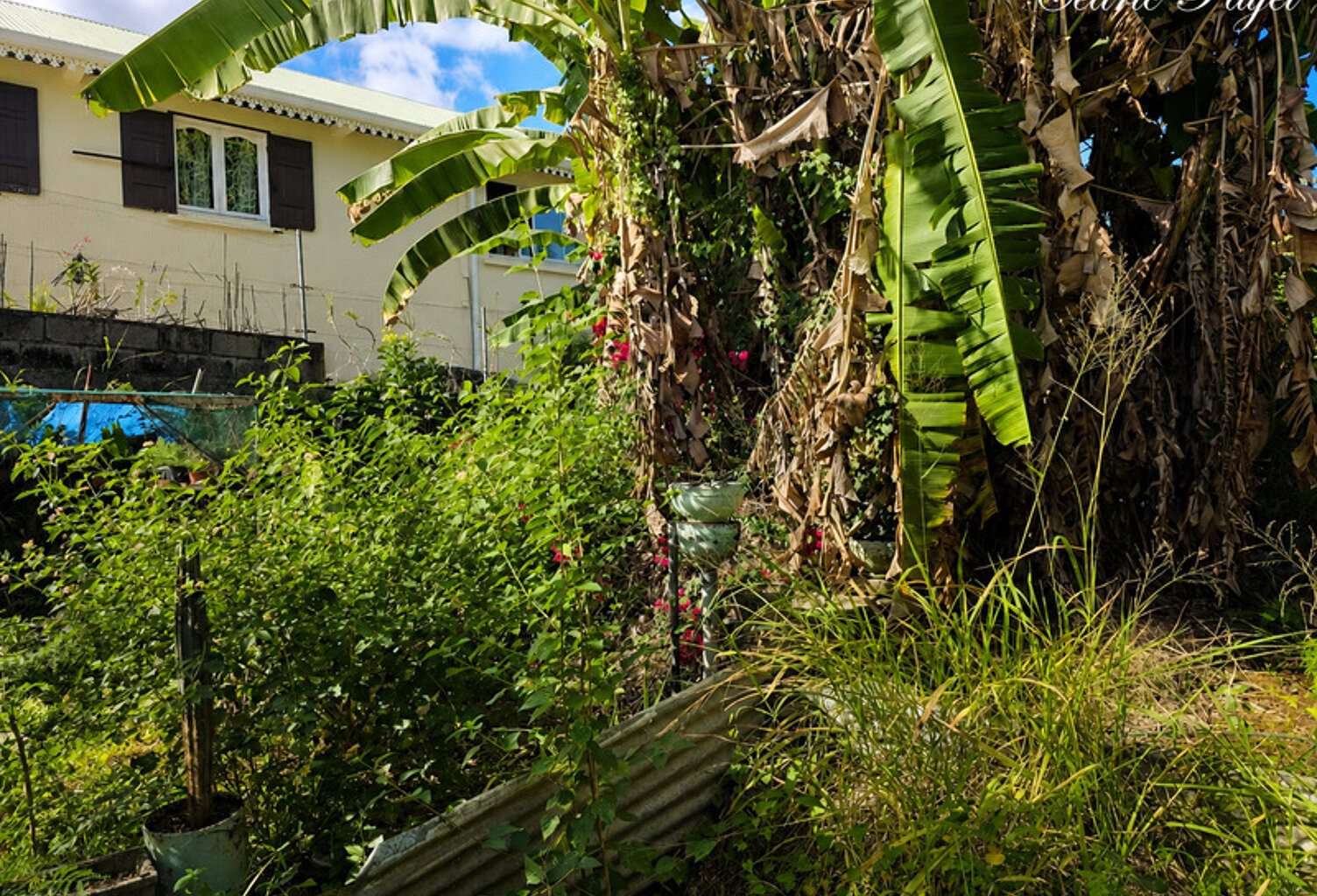 Terrain à construire avec vue de 410 M2 à vendre  LA RIVIERE (974) — photo 1
