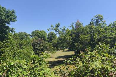 Terrain  119000 €