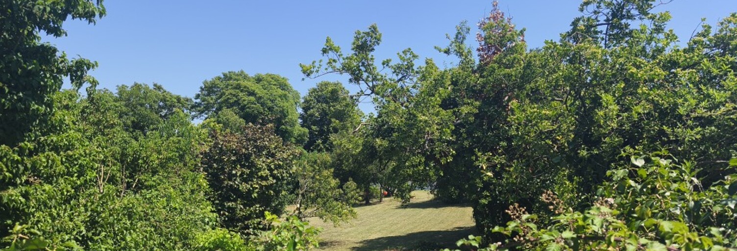 Terrain  706 m² à vendre à Chaillevette (17890)