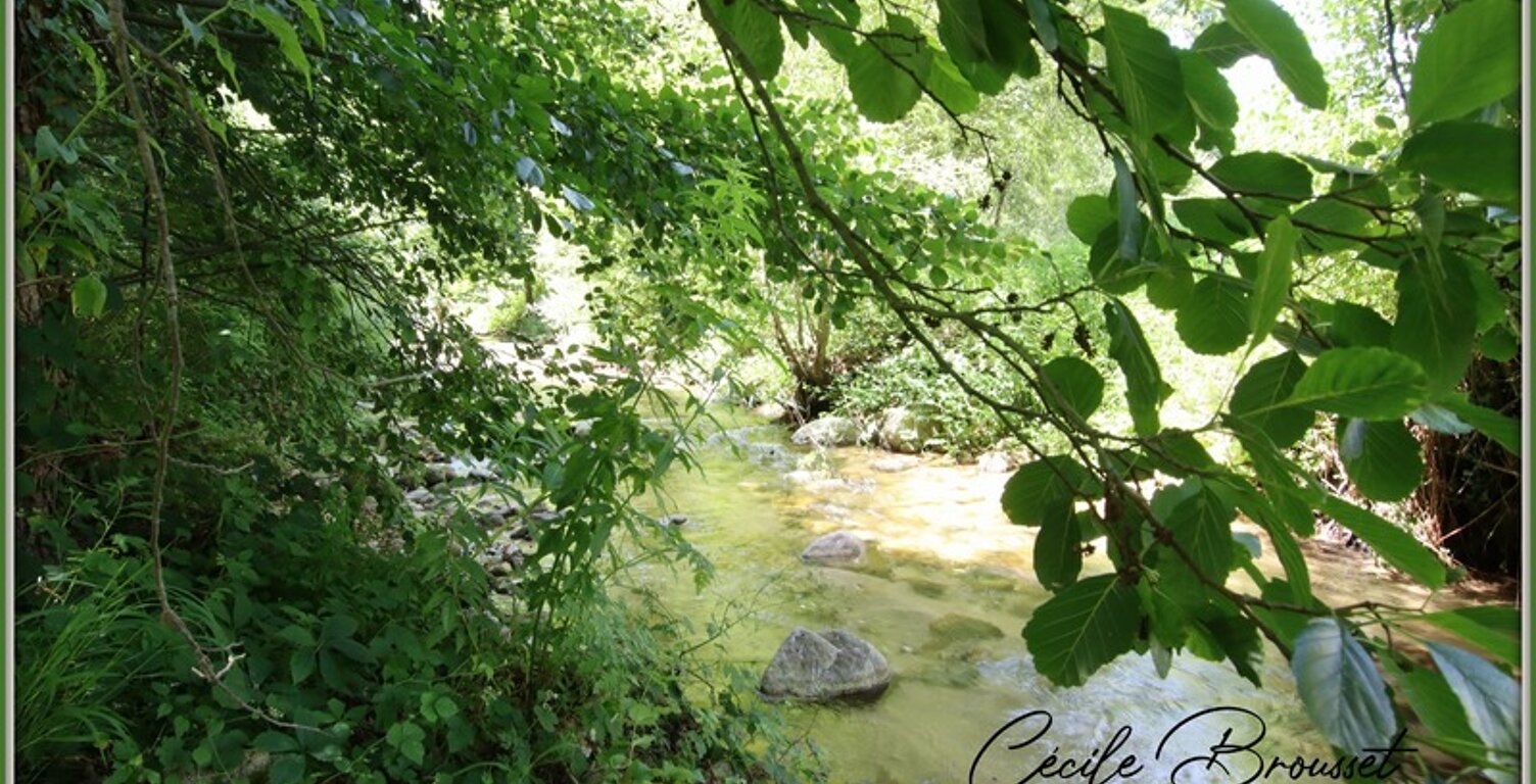 Maison de campagne avec accès privé à la rivière SAINT LAURENT DE CERDANS (66260) — photo 1