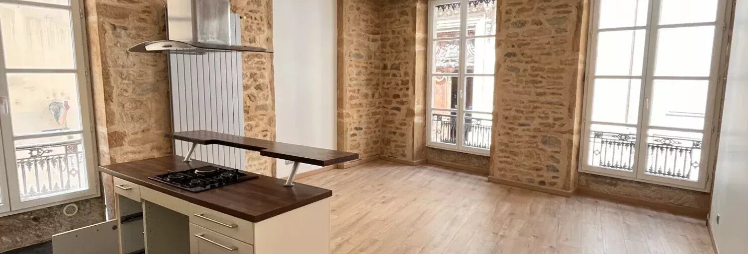 Appartement 2 Pièces 48 m² à louer à Lyon 1 (69001)