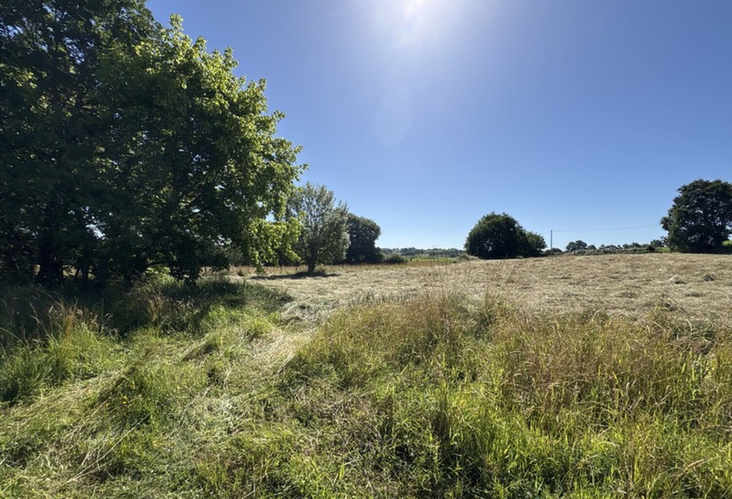Proche Orthez (64) - À VENDRE - Terrain constructible de 1,4ha idéal promoteur ou lotisseur — photo 1