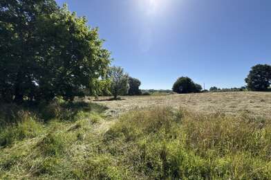 Terrain  330000 €
