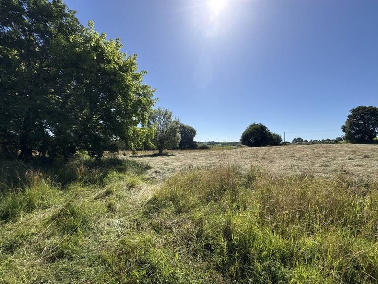 Proche Orthez (64) - À VENDRE - Terrain constructible de 1,4ha idéal promoteur ou lotisseur — photo 1