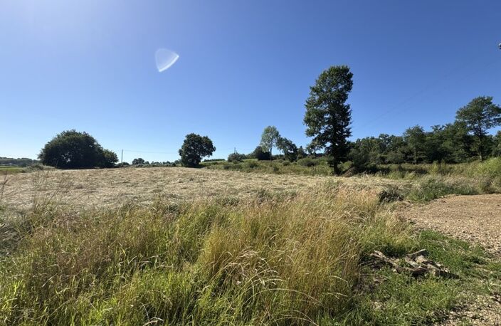Proche Orthez (64) - À VENDRE - Terrain constructible de 1,4ha idéal promoteur ou lotisseur — photo 2