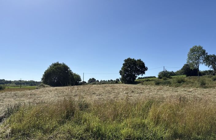 Proche Orthez (64) - À VENDRE - Terrain constructible de 1,4ha idéal promoteur ou lotisseur — photo 4