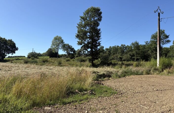 Proche Orthez (64) - À VENDRE - Terrain constructible de 1,4ha idéal promoteur ou lotisseur — photo 5