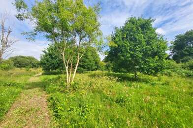 Terrain  75450 €