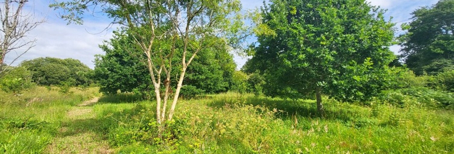 Terrain  14090 m² à vendre à Crozon (29160)