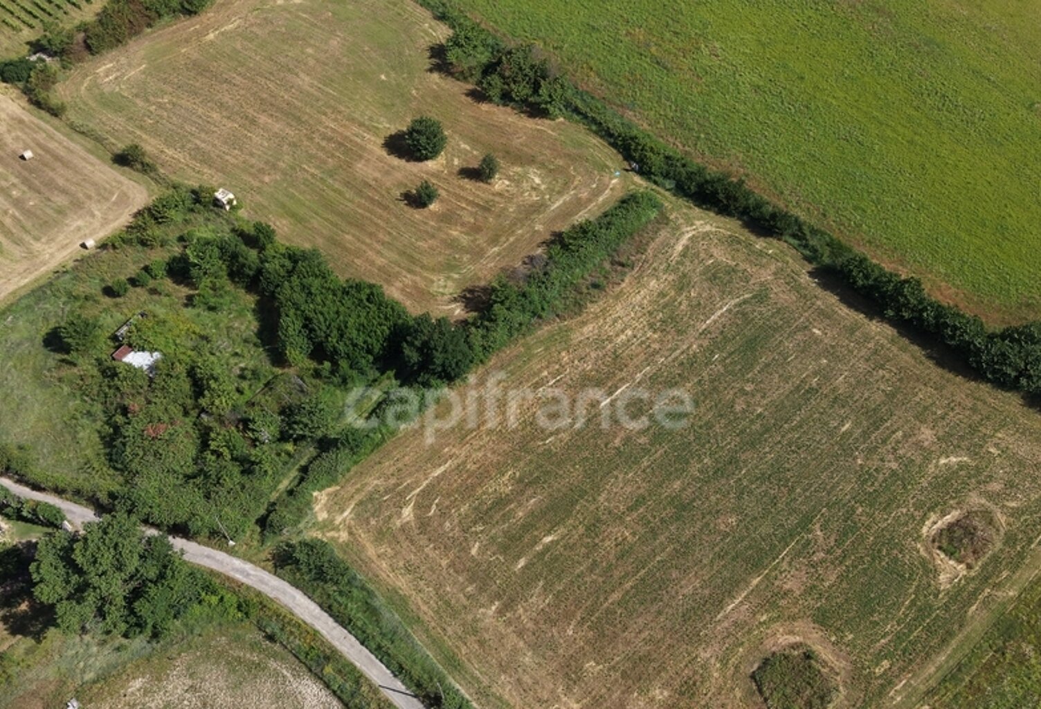 Parcelles agricoles 12 000 m² - JUNAS (GARD) — photo 1