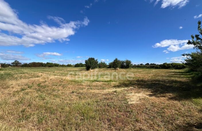 Parcelles agricoles 12 000 m² - JUNAS (GARD) — photo 5